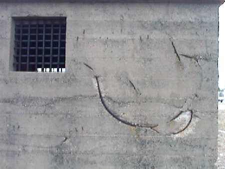 photo showing 
re-inforcment cable in the wall
